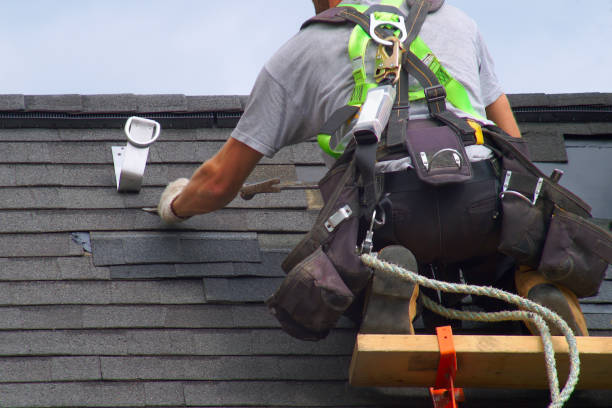 Best Best Roofing Contractors  in Chicago Heights, IL