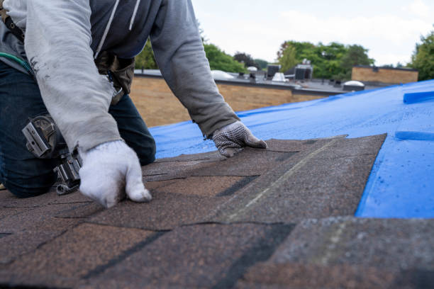 Gutter Installation and Roofing in Chicago Heights, IL