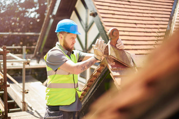 Best Metal Roofing Contractor  in Chicago Heights, IL